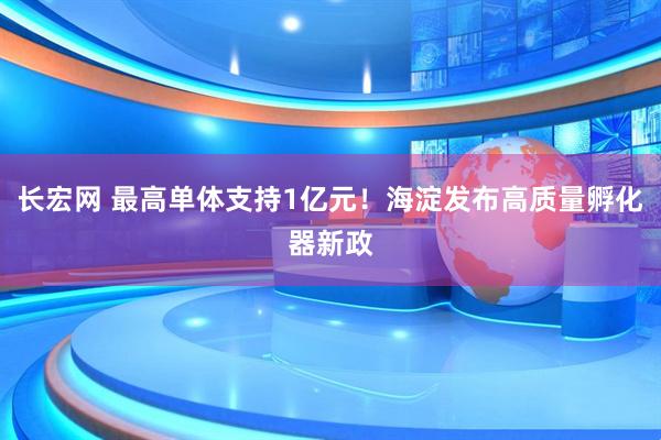 长宏网 最高单体支持1亿元！海淀发布高质量孵化器新政