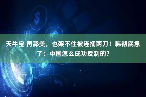 天牛宝 再舔美，也架不住被连捅两刀！韩彻底急了：中国怎么成功反制的？
